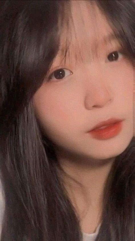 走马上任电视剧免费观看全集